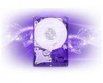 WD Purple 6TB Purple Surveillance Hard Disk SATA-III 64MB Cache WD60PURZ